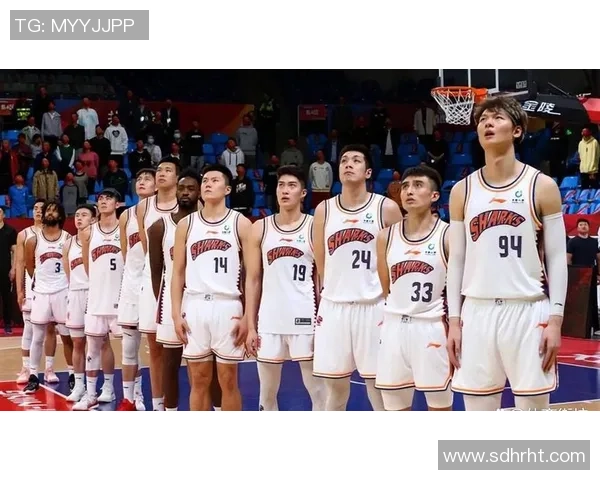 上海篮球队总决赛表现分析：意识与战术的完美结合与不足之处