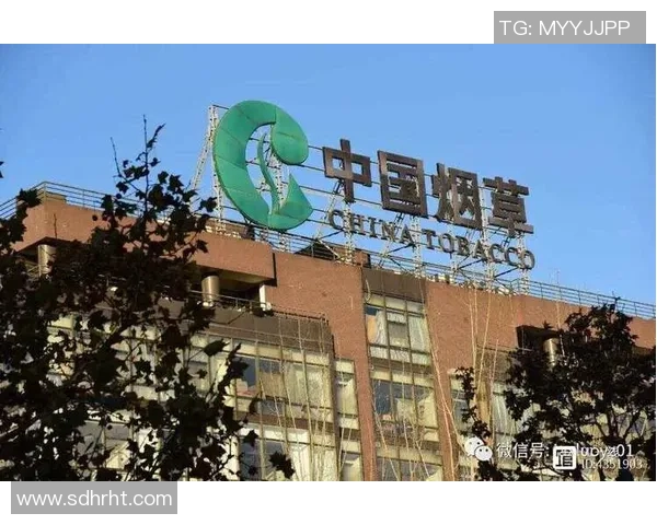 上海篮球队的奋进之路奥运会特别报道见证辉煌与挑战的交织